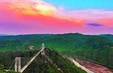 2018伦理在线观看-2018伦理剧集的线上观影体验，一场关于人性与道德的深度对话