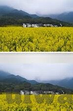 大象传媒免费app-探索大象传媒免费APP，重塑数字娱乐的边界