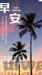 大象传媒视频域名停靠-探索大象传媒视频域名的停靠现象，互联网文化与版权边界的微妙平衡