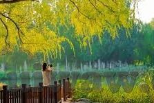 高清亚洲图片日韩av-高清亚洲图片日韩AV，文化与艺术的多元视角
