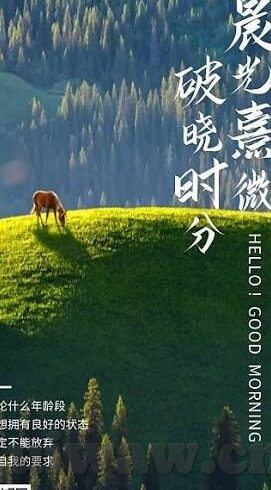 国产麻豆在线视频-