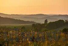 国产中文字幕无线观看视频-国产中文字幕无线观看视频的多元化视角
