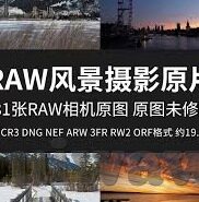郭童童麻豆文化传媒-郭童童与麻豆文化传媒，网络红人新时代的崛起与思考