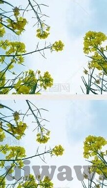 麻豆传媒在哪里看-解锁新春视角，探索麻豆传媒的正确打开方式
