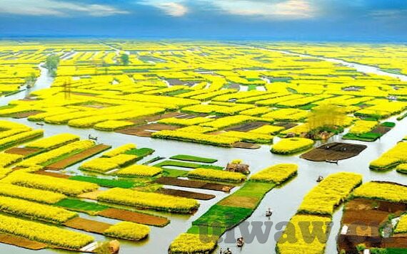 麻豆视传媒映画-麻豆视传媒映画，新媒体视野下的艺术创想与文化交织