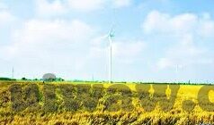糖心app直播下载纯净版-享受纯净直播体验——糖心app纯净版下载指南