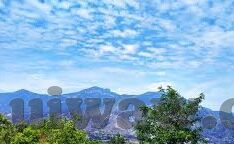 糖心视频app官网安全下载-无良诱导，网络安全须知，如何安全下载糖心视频app官网